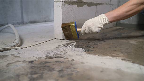 Top rated local Vapor Barrier Installation specialists in Purcellville, VA